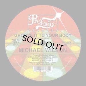 画像1: MICHAEL WILSON/GROOVE IT TO YOUR BODY (1)