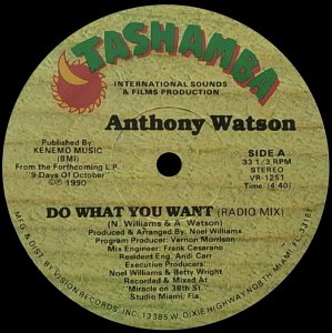 画像1: ANTHONY WATSON/DO WHAT YOU WANT (1)