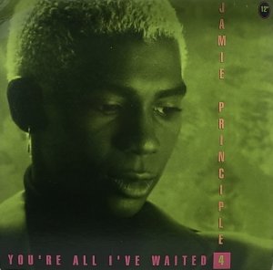 画像1: JAMIE PRINCIPLE/YOU'RE ALL I'VE WAITED 4 (1)