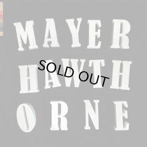 画像1: MAYER HAWTHORNE/RARE CHANGES (1)