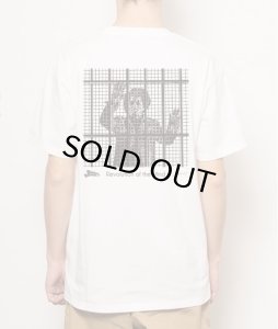 画像3: biscuit records × novol / biscuit records 5th anniversary T-SHIRT (3)