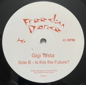 画像1: GIGI TESTA/EARTH OF FAYA EP (1)