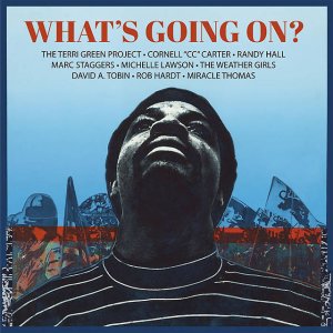 画像1: THE TERRI PROJECT/WHAT'S GOING ON (1)
