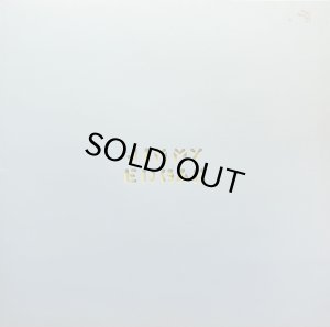 画像1: JIMMY EDGAR/ACCESS RHYTHM (1)