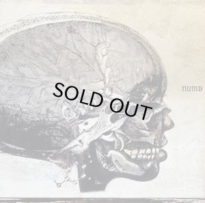 画像1: NUMB/分離 (1)