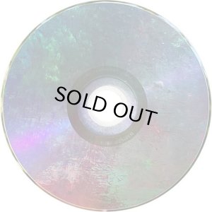 画像2: DJ 373/LOVE JOINT (2)