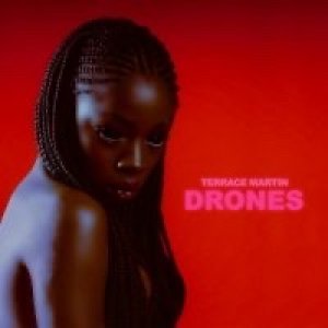 画像1: TERRACE MARTIN/DRONES (1)