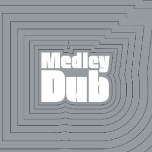 画像1: SKY NATIONS/MEDLEY DUB (1)