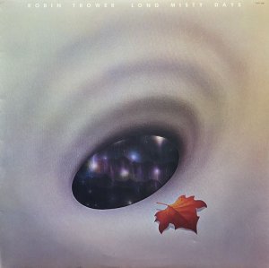 画像1: ROBIN TROWER/LONG MISTY DAYS (1)