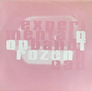 画像1: EXPERIMENTAL POP BAND/FROZEN HEAD (1)