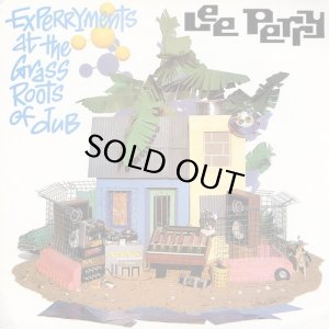 画像1: LEE PERRY & MAD PROFESSOR/EXPERRYMENTS AT THE GRASS ROOTS OF DUB (1)