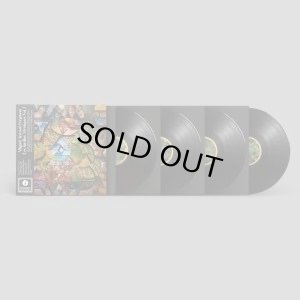 画像1: MIGUEL ATWOOD-FERGUSON/LES JARDINS MYSTIQUES VOL.1 (1)