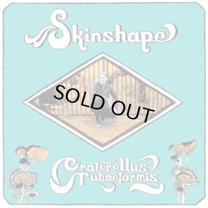 画像1: SKINSHAPE/CRATERELLUS TUBAEFORMIS (1)