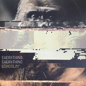 画像1: EVERYTHING EVERYTHING/SCHOOLIN' (1)