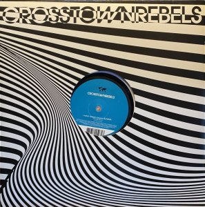 画像1: LAURENT GARNIER PRESENTS ALASKA/IT'S JUST MUZIK (1)
