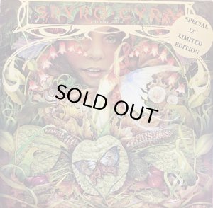 画像1: SPYRO GYRA/MORNING DANCE (1)