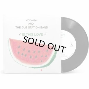 画像1: KODAMA AND THE DUB STATION BAND/IS THIS LOVE (1)