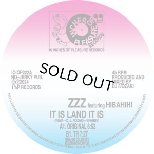 画像1: ZZZ FEAT. HIBAHIHI/IT IS LAND IT IS (1)