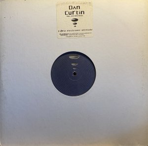 画像1: DAN CURTIN/VOICES FROM ANOTHER AGE (1)