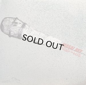 画像1: MASAI BEY/PAPER MACHE (1)