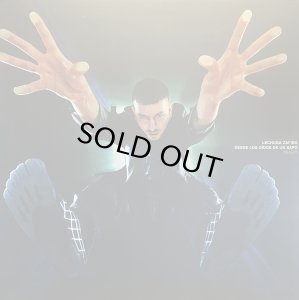 画像1: LECHUGA ZAFIRO/DESDE LOS OIDOS DE UN SAPO (1)