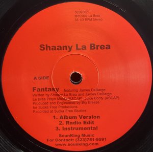 画像1: SHAANY LA BREA/FANTASY (1)