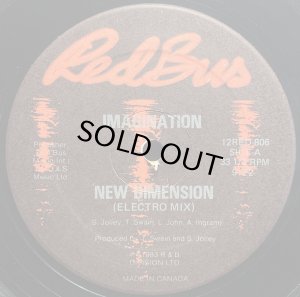 画像1: IMAGINATION/NEW DIMENSION (1)