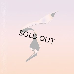 画像1: TERRA UTOPIA/TERRA UTOPIA 2 (1)