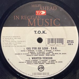 画像1: T.O.K./GAL YUH AH LEAD (1)