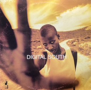 画像1: DIGITAL SOUTH/GOLDEN AREA (1)