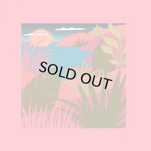 画像1: COYOTE / PEAKING LIGHTS / LOVE LETTERS (1)