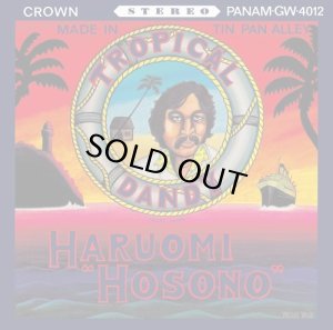 画像1: HARUOMI HOSONO (細野晴臣) / TROPICAL DANDY (1)
