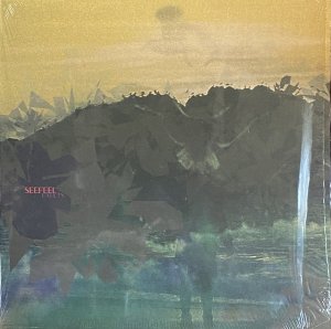 画像1: SEEFEEL/FAULTS (1)