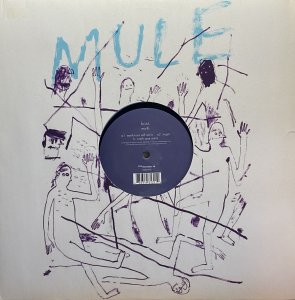 画像1: KOSS/EARTH : AME REMIX (1)