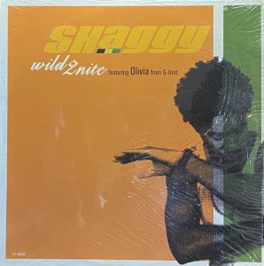 画像1: SHAGGY/WILD 2 NITE (1)