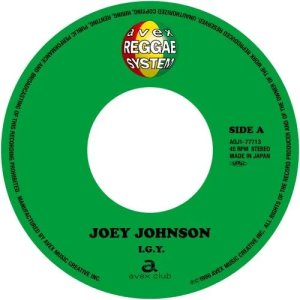 画像1: JOE JOHNSON/I.G.Y. (1)