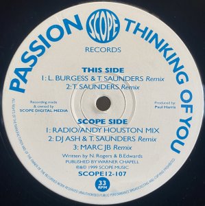 画像1: PASSION/THINKING OF YOU (1)