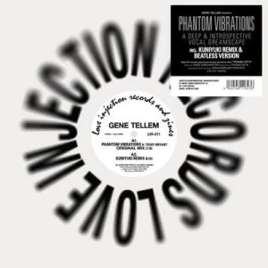 画像1: GENE TELLEM/PHANTOM VIBRATIONS (1)