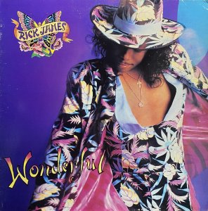 画像1: RICK JAMES/WONDERFUL (1)