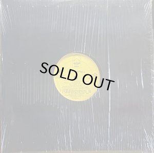 画像1: TEVIN CAMPBELL/CAN WE TALK (1)