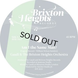 画像1: GAUDI & THE BRIXTON HEIGHTS ORCHESTRA/AM I THE SAME MAN? (1)