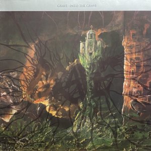 画像1: GRAVE/INTO THE GRAVE			 (1)