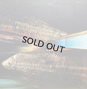 画像1: ANIMAL COLLECTIVE/SUMMERTIME CLOTHES (1)