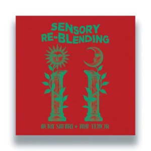 画像1: AURA SAFARI & JIMI TENOR/SENSORY REBLENDING (1)