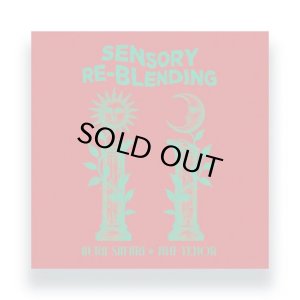 画像1: AURA SAFARI & JIMI TENOR/SENSORY REBLENDING (1)