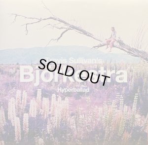 画像1: TRAVIS SULLIVAN'S BJORKESTRA/Hyperballad c/w Venus as a boy (1)