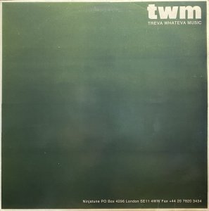 画像1: TREVA WHATEVA/WE HAVE THE TECHNOLOGY (1)