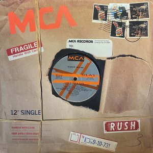 画像1: CHANTE MOORE/LOVE'S TAKEN OVER (1)