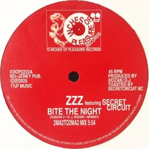 画像1: ZZZ FEATURING SECRET CIRCUIT / HIBAHIHI / BITE THE NIGHT/CAN YOU EEL IT (1)