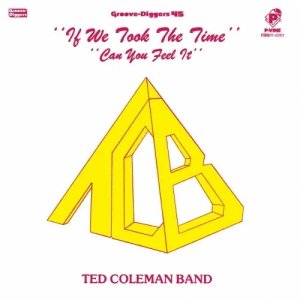 画像1: TED COLEMAN BAND/IF WE TOOK THE TIME (1)